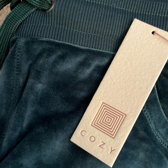 NWT Velvet Lularoe Crystal Pants - Picture 3 of 9